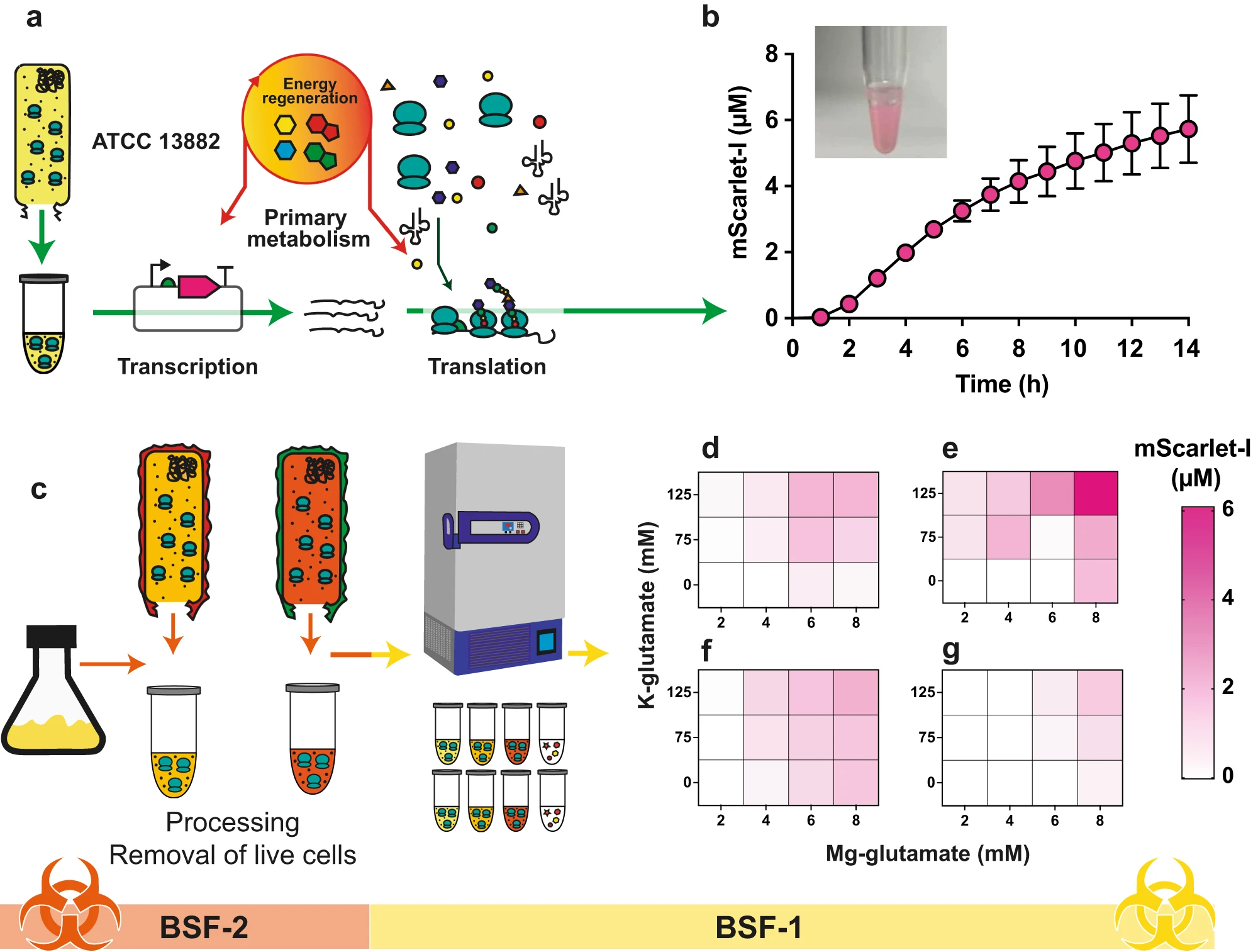 Antimicrobial Research