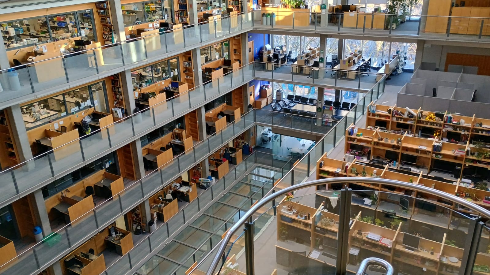 Saf Building News | Moore Engineering Biosynthesis Group
