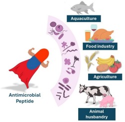 AMPs publication image