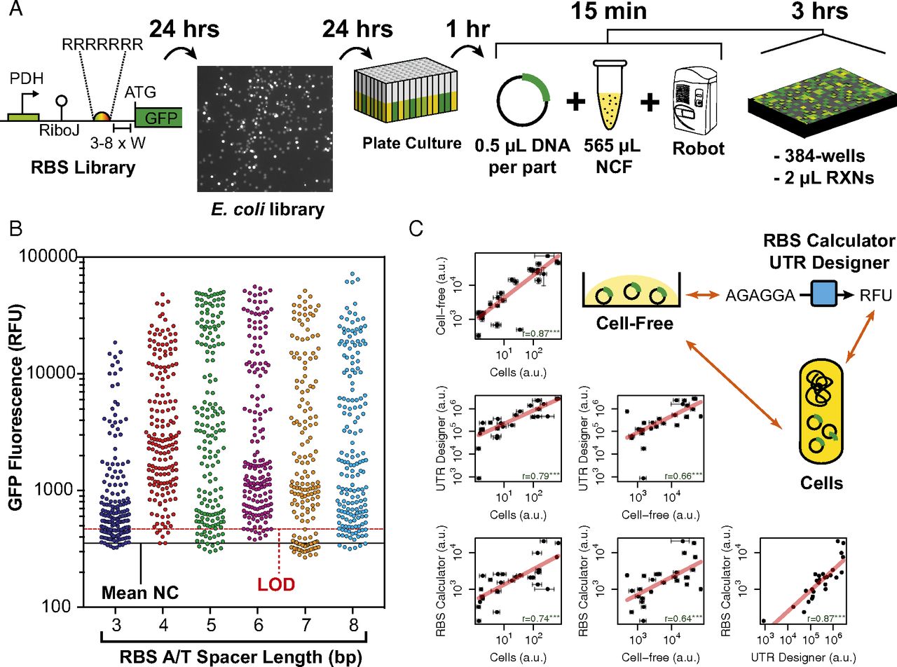 HTS Cell-free publication image