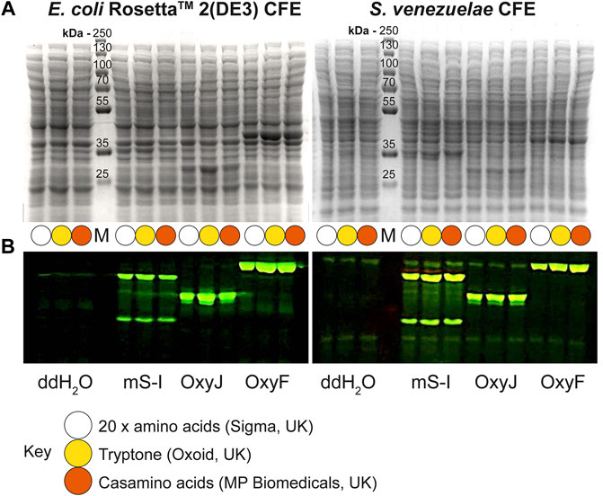 CFPS publication image