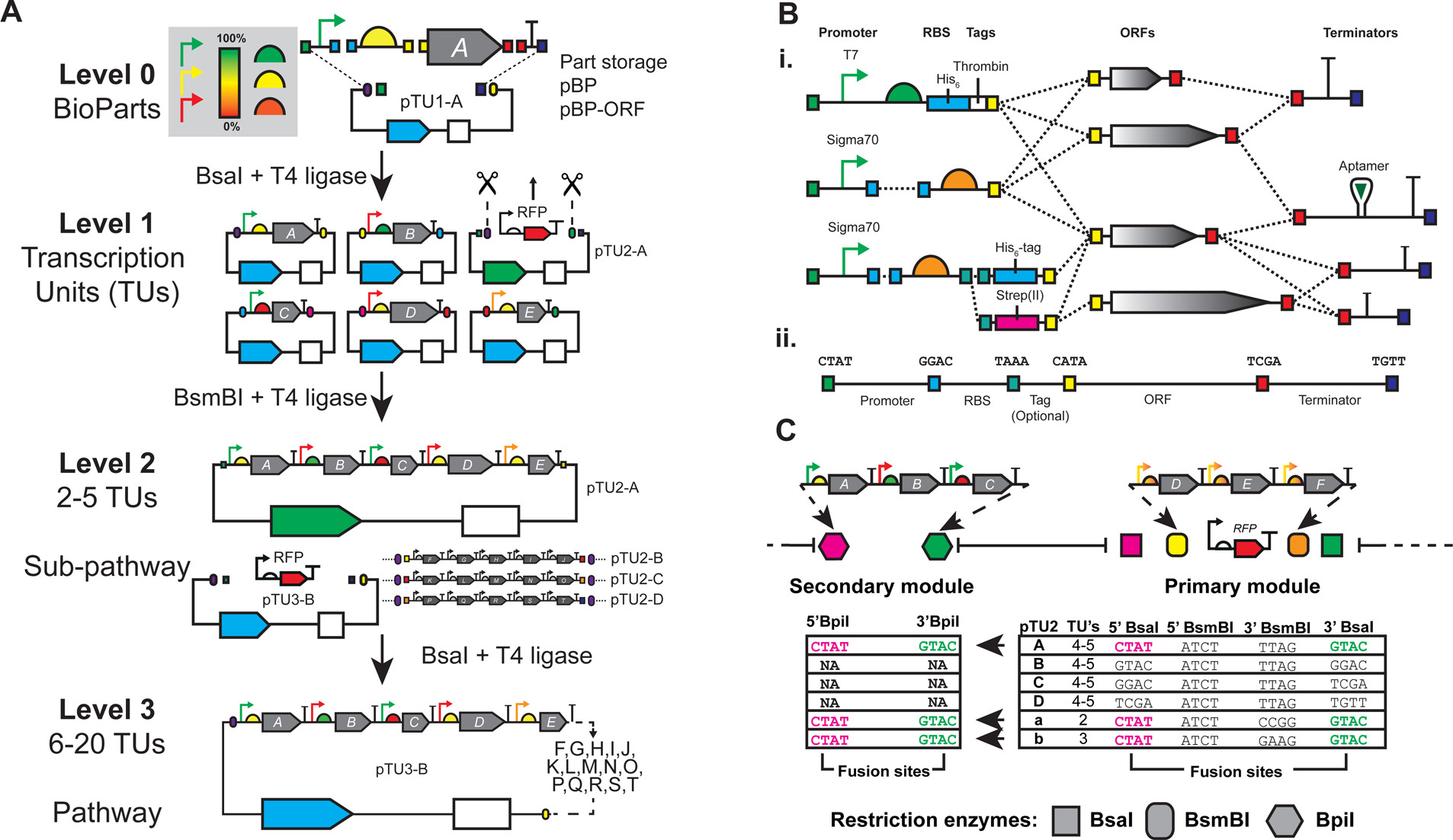 EcoFlex publication image