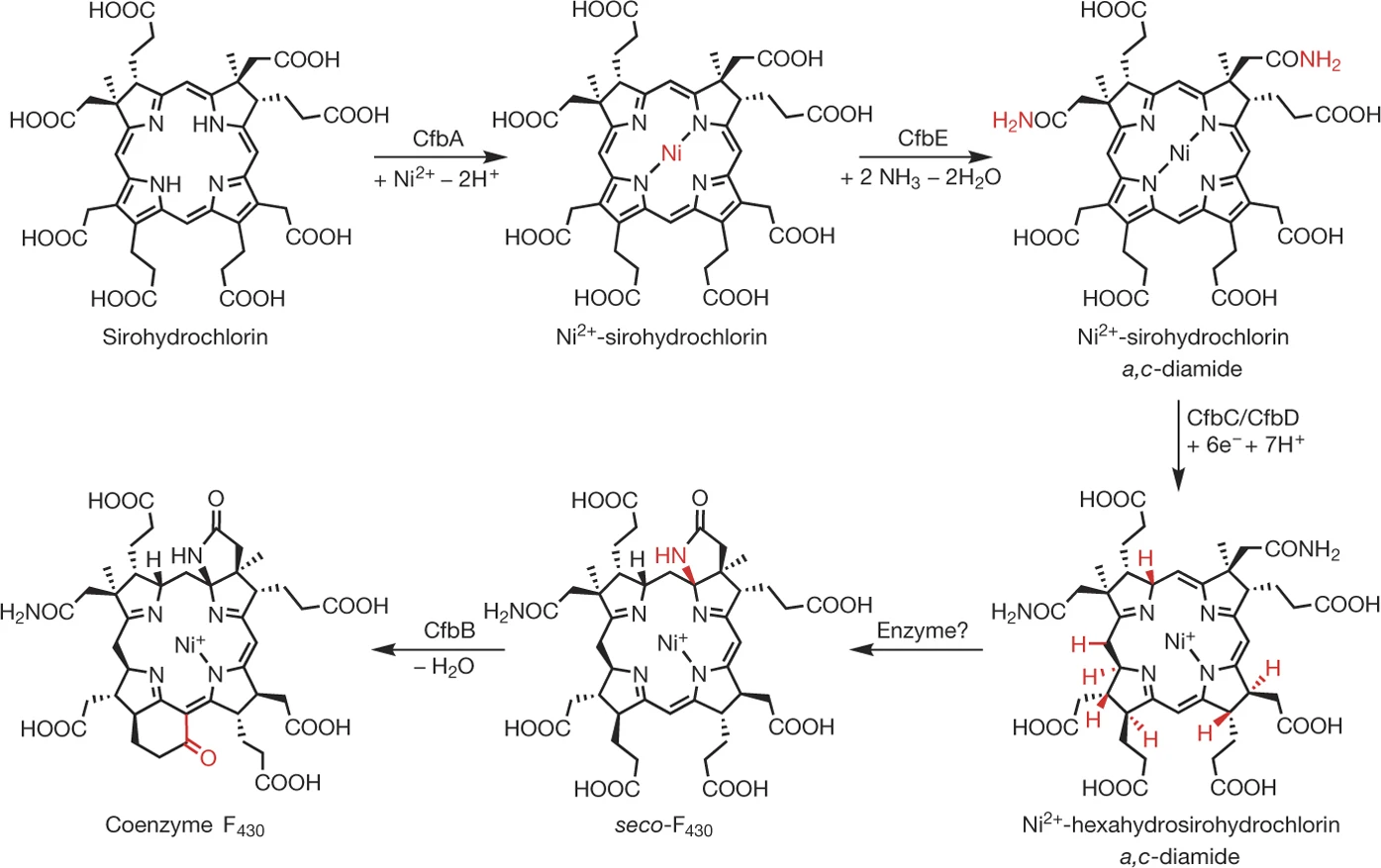 F430 publication image