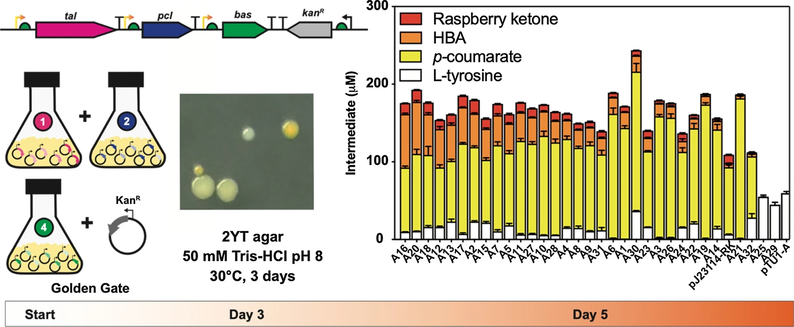 HBA publication image