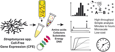 Streptomyces CFPS publication image