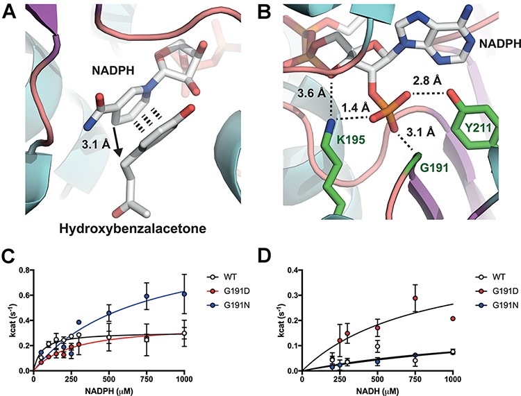 Reductase publication image